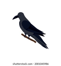 Black bird on white background isometric icon vector illustration