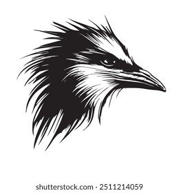 Black bird on white background