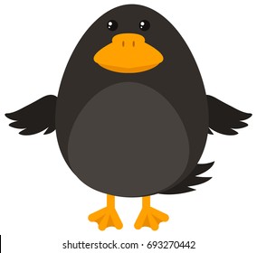 Pájaro negro sobre ilustración de fondo blanco