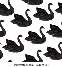 Black bird seamless pattern. Wildlife background. Swimming swans couples