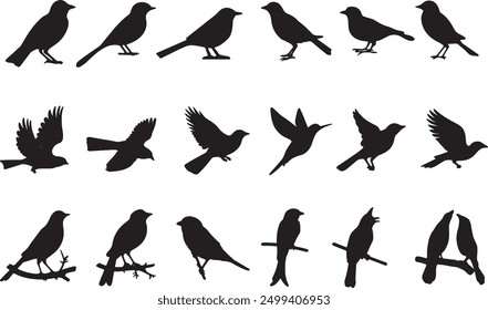 Black Bird Set Collection Silhouette Vector Style Illustration on a White Background