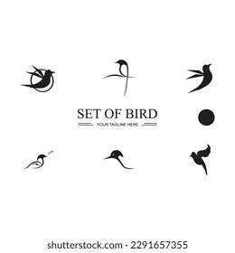diseño de imagen de símbolo y logotipo de conjunto de pájaro negro