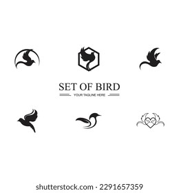 black Bird set logo and symbol illustration design