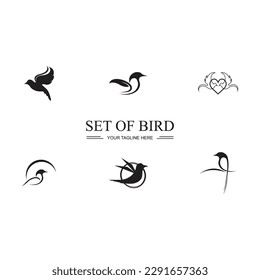 diseño de imagen de símbolo y logotipo de conjunto de pájaro negro