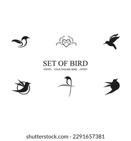 black Bird set logo and symbol illustration design