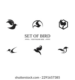 black Bird set logo and symbol illustration design