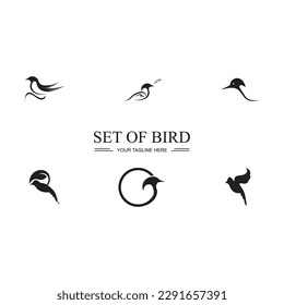 Logo für schwarze Vogel und Symbolgrafik-Design