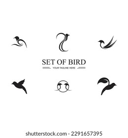 black Bird set logo and symbol illustration design