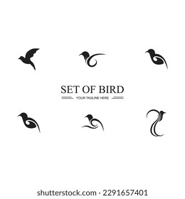 diseño de imagen de símbolo y logotipo de conjunto de pájaro negro
