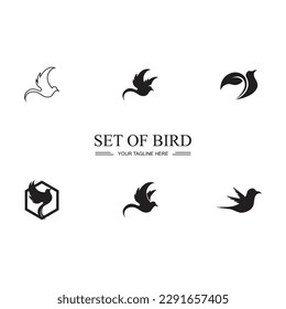 diseño de imagen de símbolo y logotipo de conjunto de pájaro negro