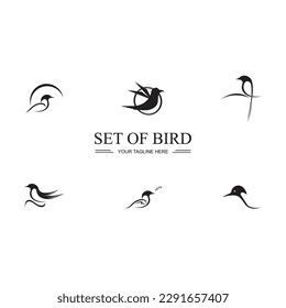 black Bird set logo and symbol illustration design