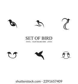 black Bird set logo and symbol illustration design