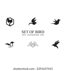 diseño de imagen de símbolo y logotipo de conjunto de pájaro negro