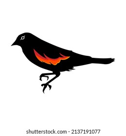 black bird side view vector illustration