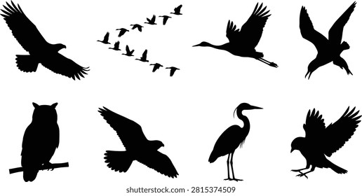 Black Bird Silhouette Collection Featuring Eagles, Owls, Cranes, Crows, and Flying Birds on White Background.eps