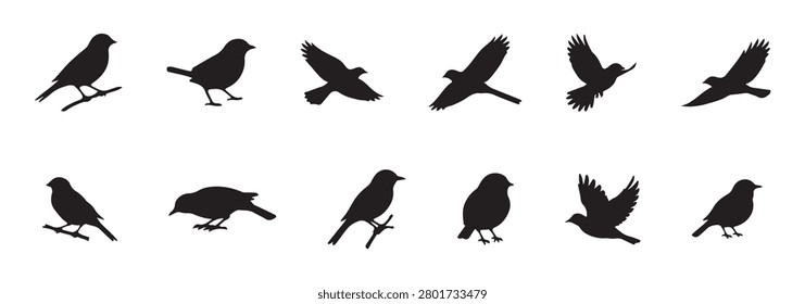 Black Bird Silhouette Icon Set Flying Bird Shadow Vector Collection Wildlife Clipart Pack