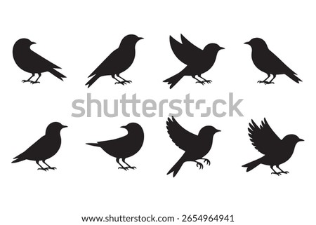 Black Bird Silhouette Icon Set Flying Bird Shadow Vector Collection Wildlife Clipart Pack