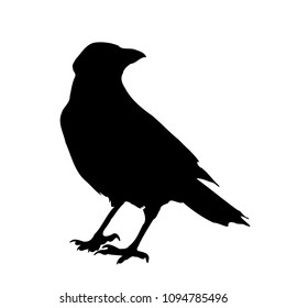 Black Bird Silhouette of the Raven (Captured at Arthur's Seat in Edinburgh, Scotland)