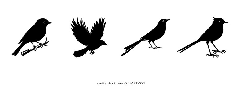 Black Bird Silhouette Vector Illustration with Transparent Background – Fully Editable Design