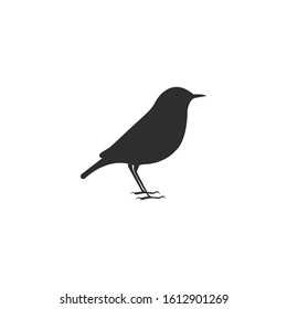 Black bird silhouette vector on a white background