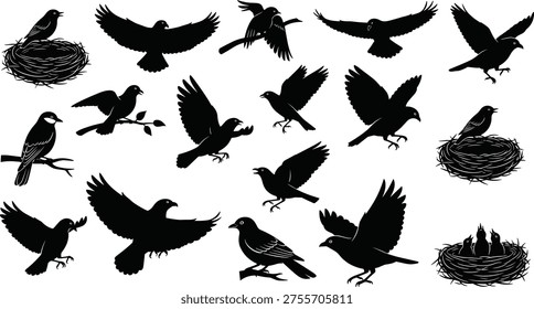Black bird silhouettes flying, perched on branches, holding twigs, nesting with baby birds, stylized vector illustration of avian behavior and anatomy