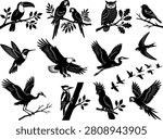 Black bird silhouettes including toucan, parrots, owl, eagle, heron, and others, on a white background.