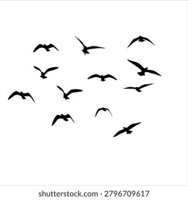 Black bird silhouettes in motion. Many seagulls flying across frame. Migrating avian group. Dark wildlife vector art.