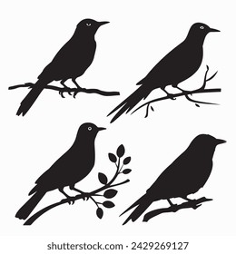 Black Bird Silhouettes. vector elements for design.