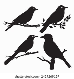 Black Bird Silhouettes. vector elements for design.