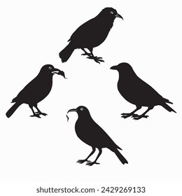 Black Bird Silhouettes. vector elements for design.