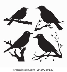 Black Bird Silhouettes. vector elements for design.