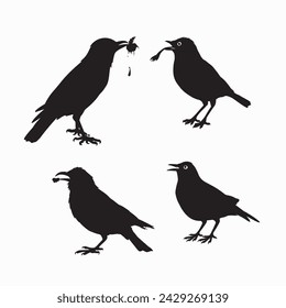Black Bird Silhouettes. vector elements for design.