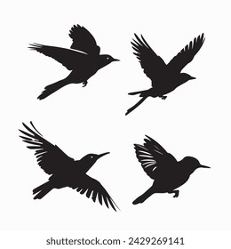 Black Bird Silhouettes. vector elements for design.