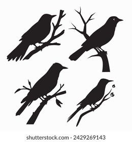 Black Bird Silhouettes. vector elements for design.