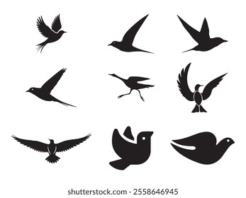black bird silhouettes. Vector  elements for design