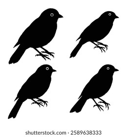 black bird silhouettes. Vector elements for design.