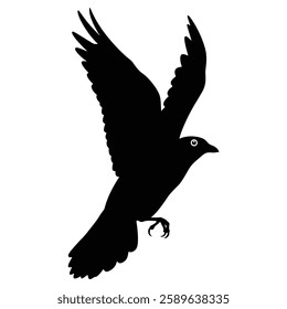 black bird silhouettes. Vector elements for design.