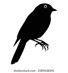 black bird silhouettes. Vector elements for design.