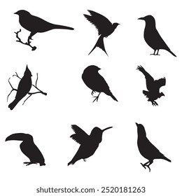 Silhuetas de pássaro preto fundo branco