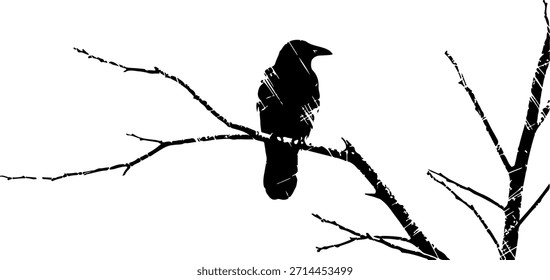 Pájaro negro sentado en una rama de árbol