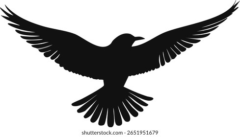 black bird with spread wings
