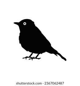 Black bird . Vector elements for design.bird clip art in vactor file .Birds black and white royalty free vector icon set.Beautiful Blue Brid vactor illustration