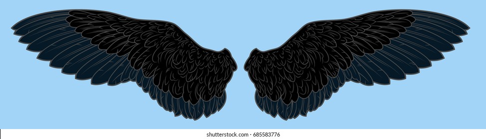 Black bird wings