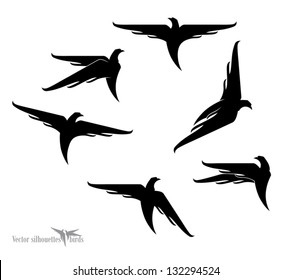Black birds.
