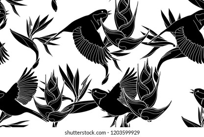 Black birds and flowers pattern. Vector illustration. Botanical seamless wallpaper. Digital nature art. Cartoon style sketch. White background.