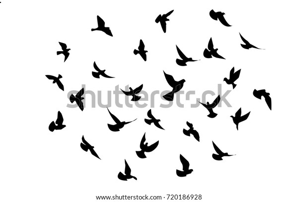 Black Birds Flying Isolated On White Stock Vector (Royalty Free) 720186928