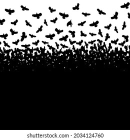 Black birds on a white background. Vector illustration. 