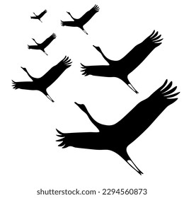 Black birds silhouette isolated on transparent background. Crane Wedge. Flock of Storks. Victory Day concept. Vector illustration.