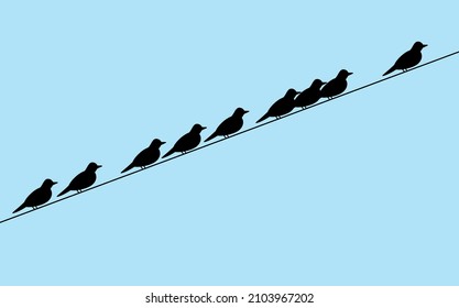 Black birds sit on wires. Vector illustration