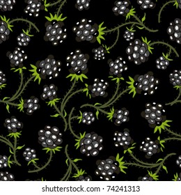 Black blackberry on a black background